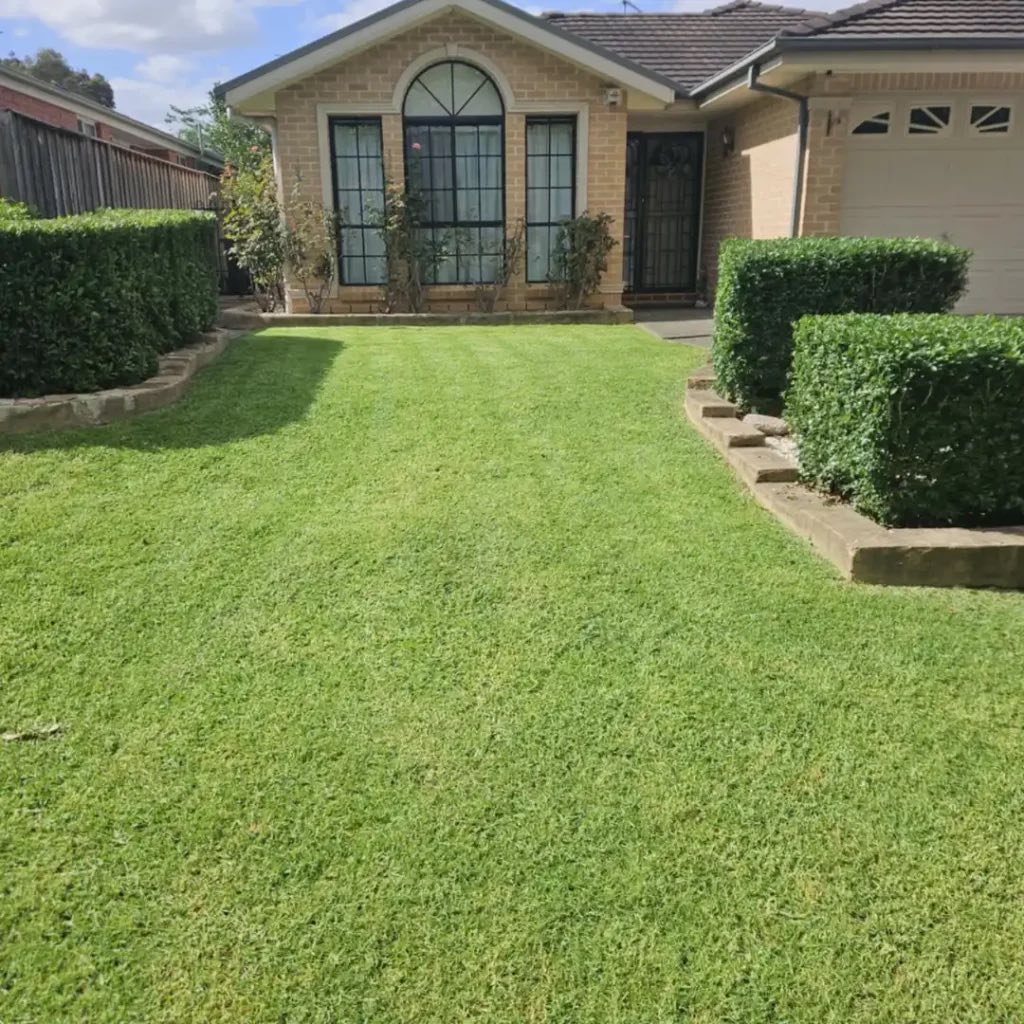 Front Lawn Stripes, Wollongong