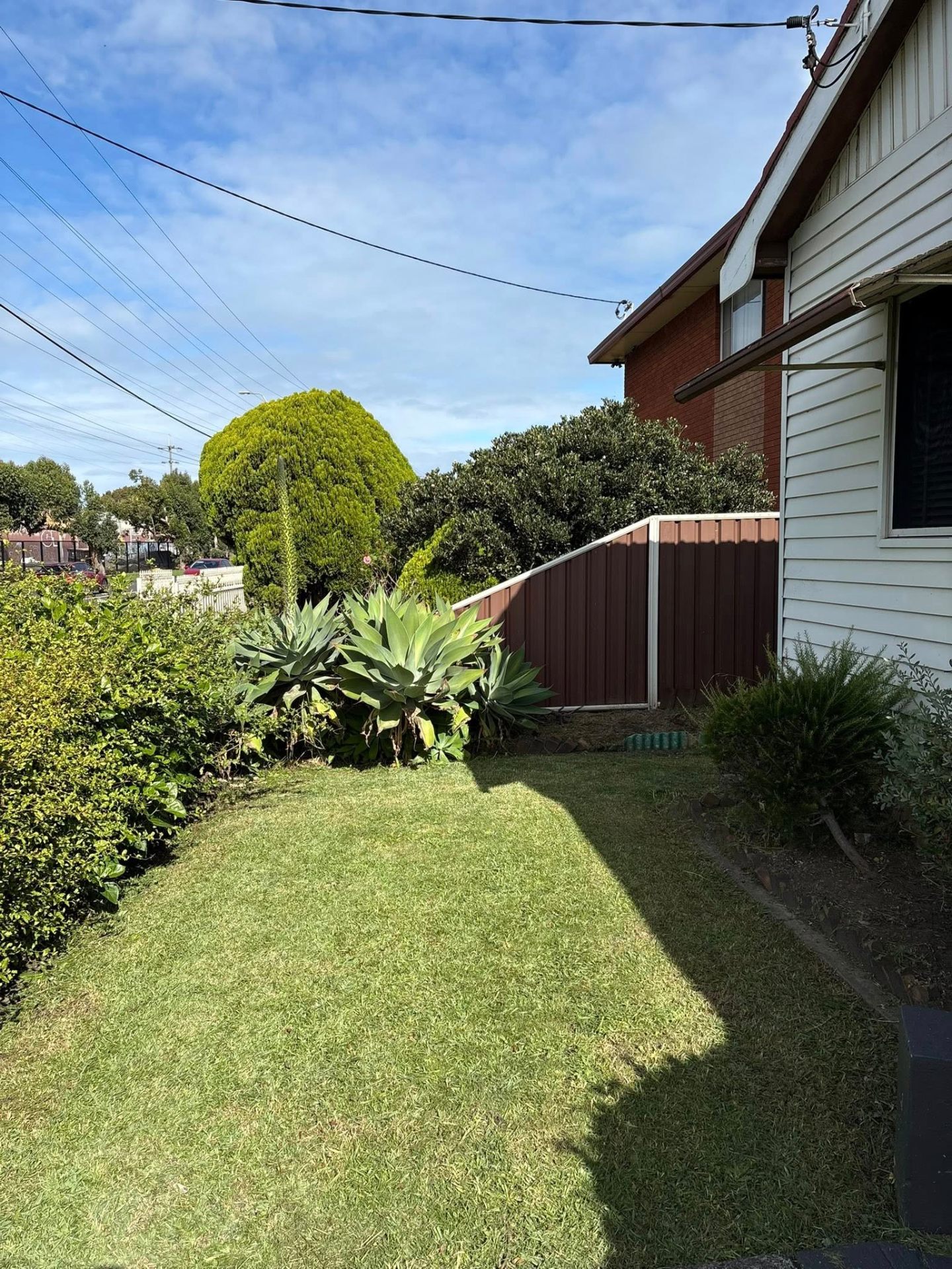Side Yard Tidy Up