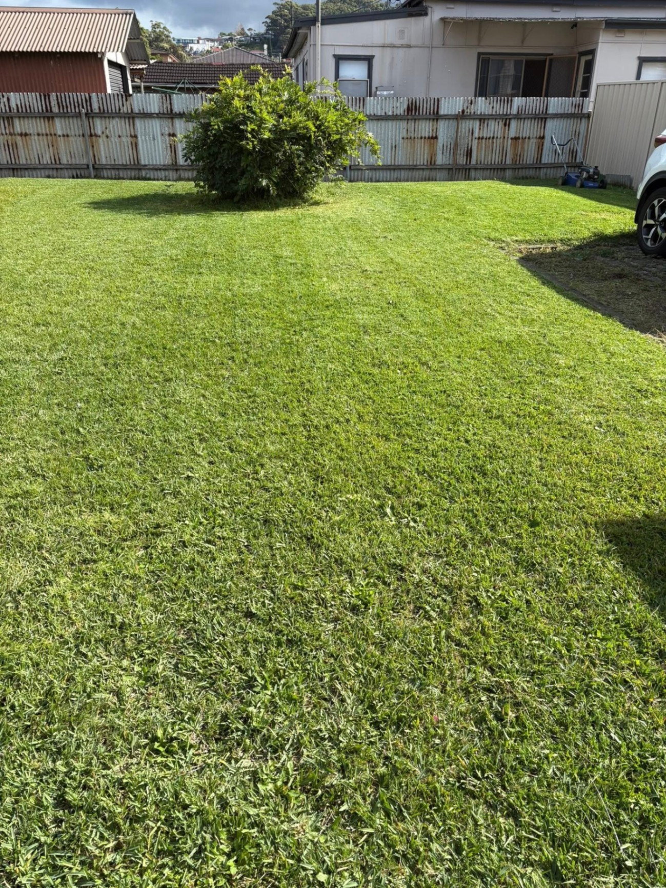 Backyard Weekly Mow